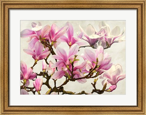 Framed Magnolia Branch (neutral) Print