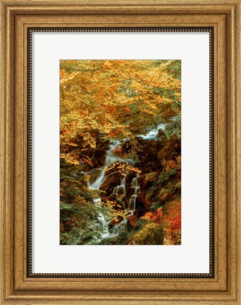 Framed Hidden Waterfall Print