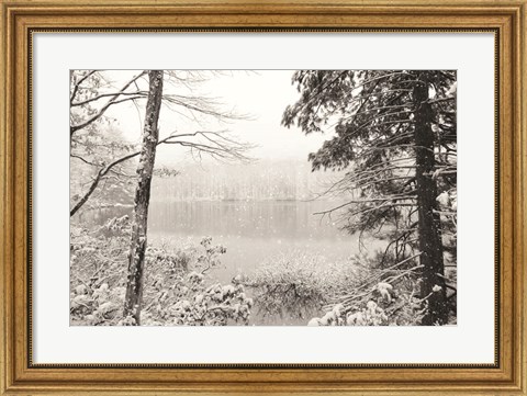 Framed Silence is Beautiful Print