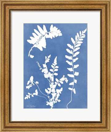 Framed Blue Botanical II Print