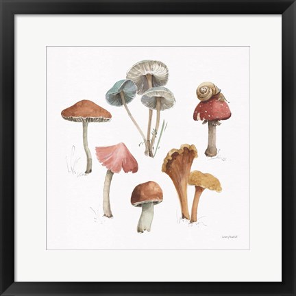 Framed Mushroom Medley 02 Print