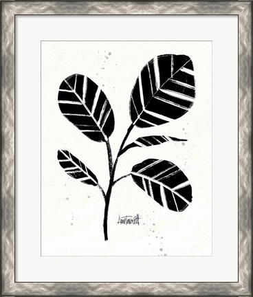 Framed Botanical Sketches IV Print