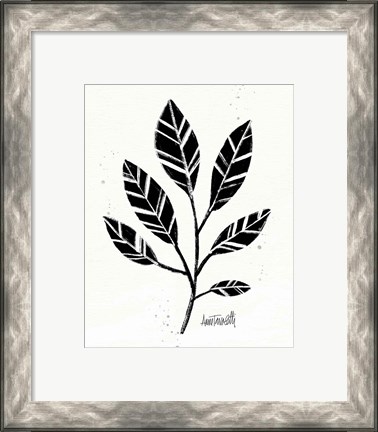 Framed Botanical Sketches III Print