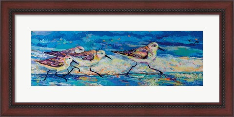 Framed Racing Plovers Print