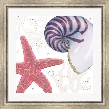 Framed Shimmering Shells II Print