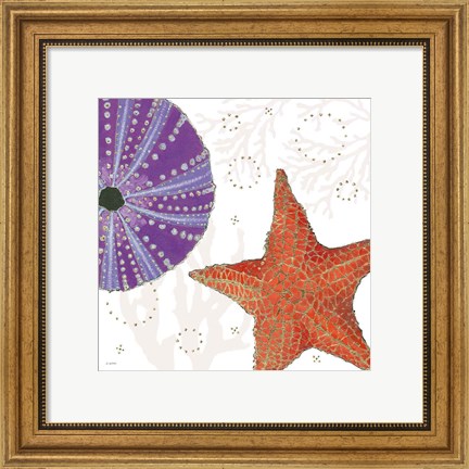 Framed Shimmering Shells III Print