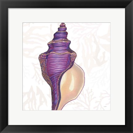 Framed Shimmering Shells IX Print