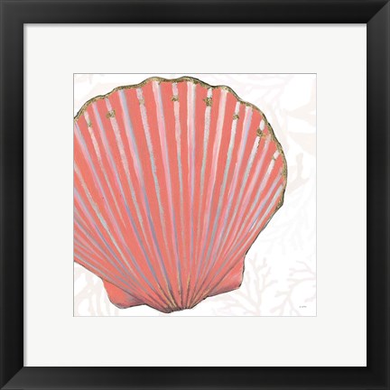 Framed Shimmering Shells XI Print