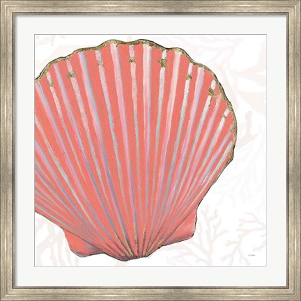 Framed Shimmering Shells XI Print