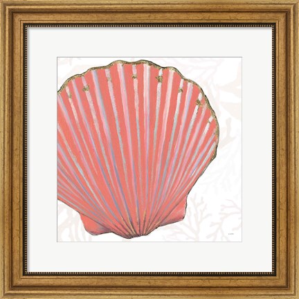 Framed Shimmering Shells XI Print