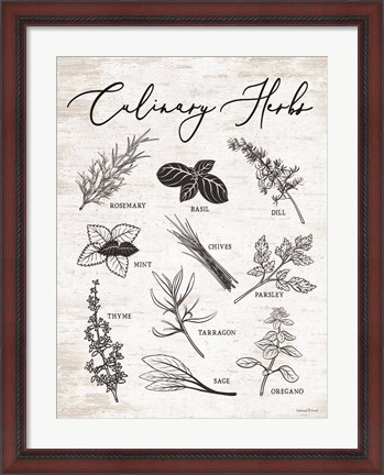 Framed Culinary Herbs Print