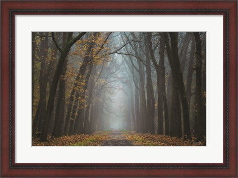 Framed Moody Autumn Print