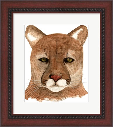 Framed Cougar Print