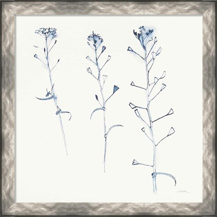 Framed Shepherds Purse Stems I Blue Print