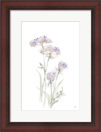 Framed Tall Queen Annes Lace II Print