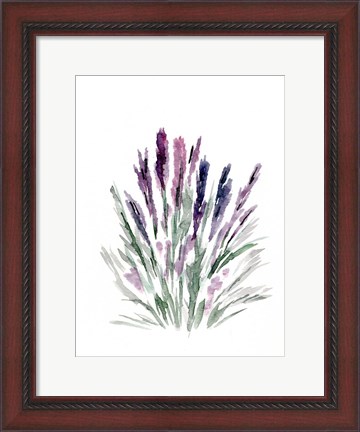 Framed Lavender Print