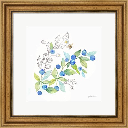 Framed Berries and Bees IV Print