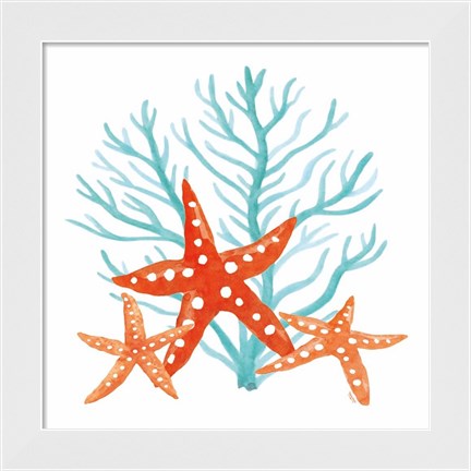 Framed Coral Aqua XIII Print