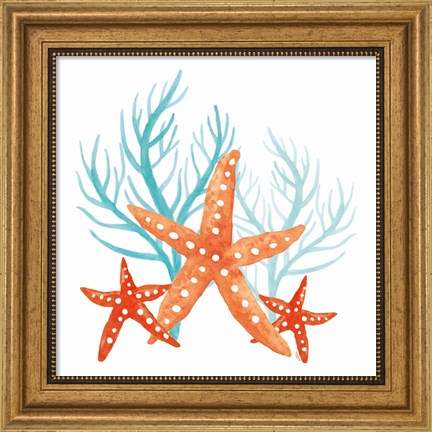 Framed Coral Aqua XIV Print