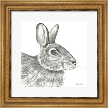 Framed Watercolor Pencil Forest II-Rabbit Print