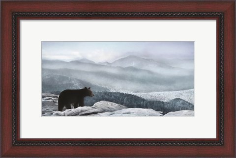 Framed Cascade Mountain Bear Print