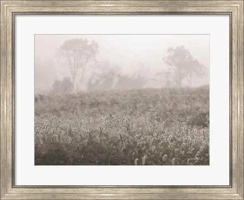 Framed Dreamy Field Print