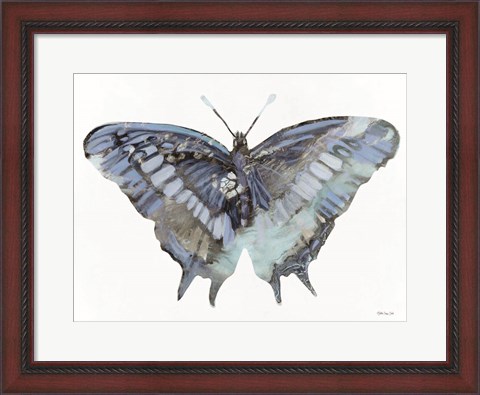 Framed Blue Butterfly Print