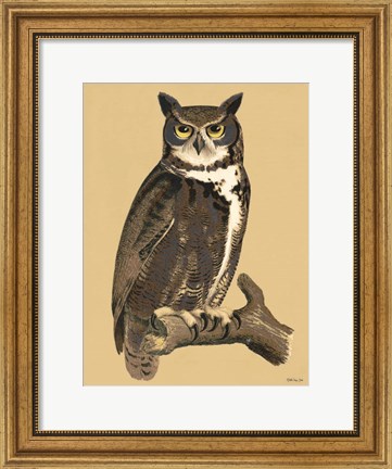 Framed Great Owl Print