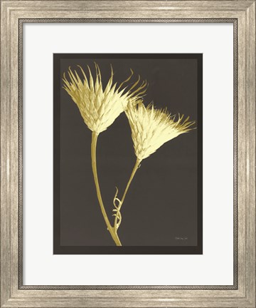 Framed Forms in Nature 2 Print