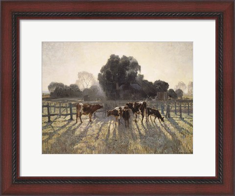 Framed Grazing Cows Print