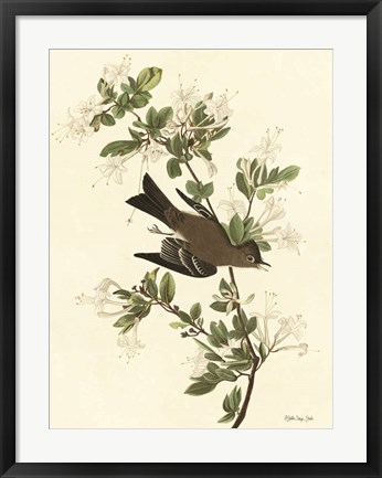 Framed Vintage Bird 1 Print