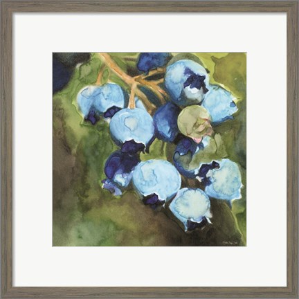 Framed Blueberries 1 Print
