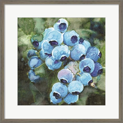 Framed Blueberries 3 Print