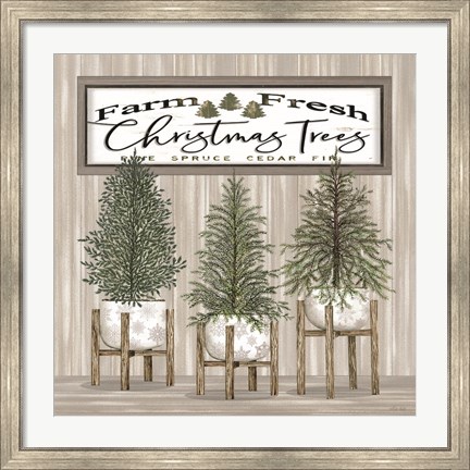 Framed Potted Christmas Trees Print