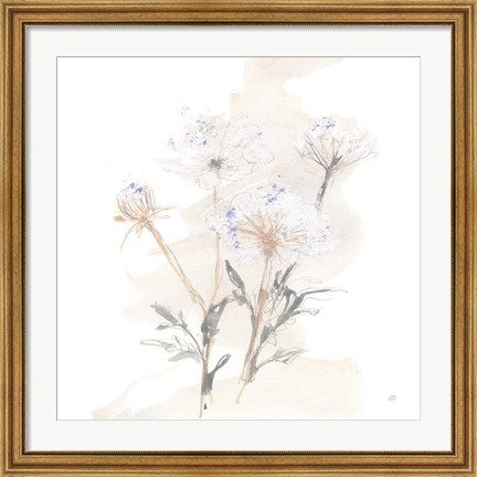 Framed Queen Annes Lace II Print