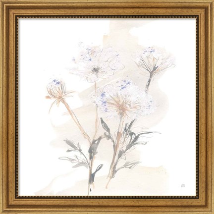 Framed Queen Annes Lace II Print