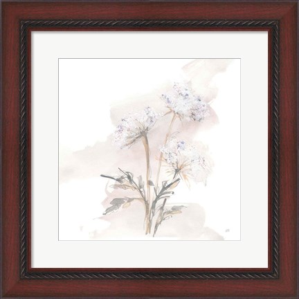 Framed Queen Annes Lace I Print