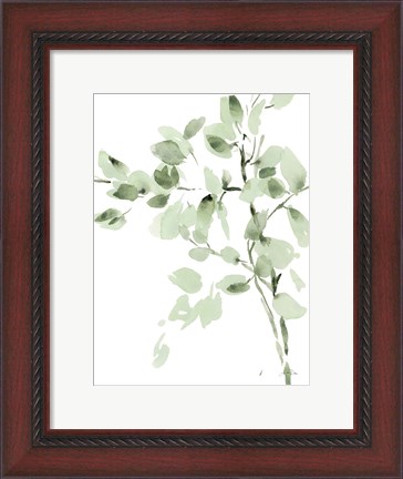 Framed Cascading Branches II Print