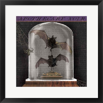 Framed Apothecary Noir IV Print