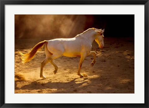 Framed Dancing In The Light Print