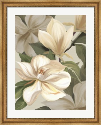 Framed Magnolia Blossoms I Print