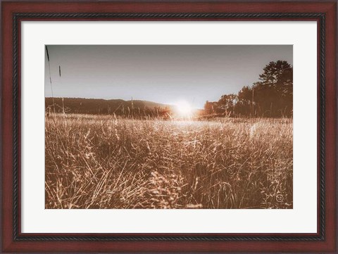 Framed Fields of Gold Print