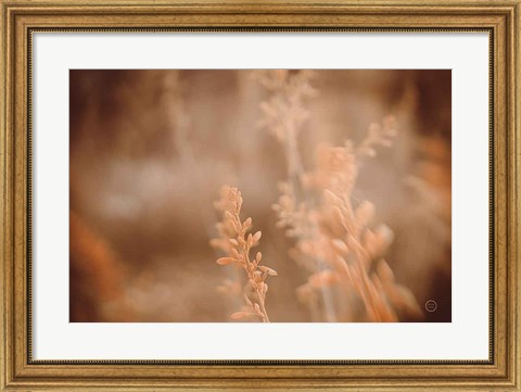 Framed Texas Wild Print