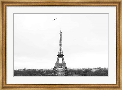 Framed Birds View of Paris Crop I Print