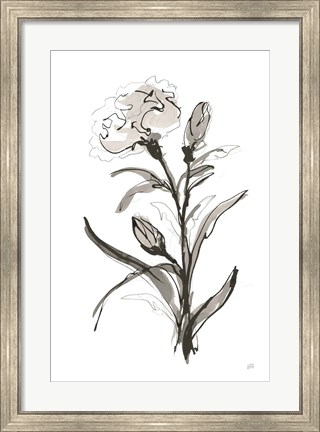 Framed Carnation I Print