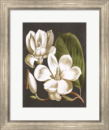 Framed Magnolia Print