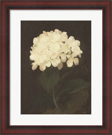 Framed Vintage White Hydrangea Print