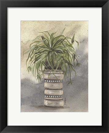 Framed Spider Plant in Pottery Print