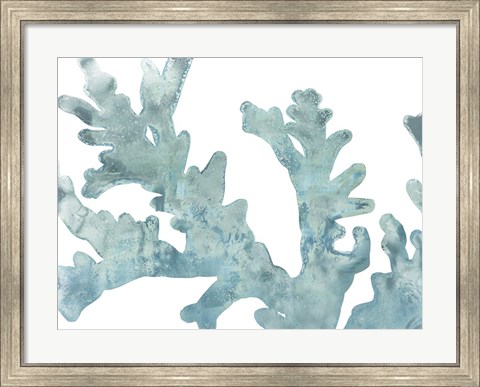 Framed Blue Macro Coral II Print