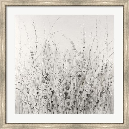 Framed Garden Remnants I Print